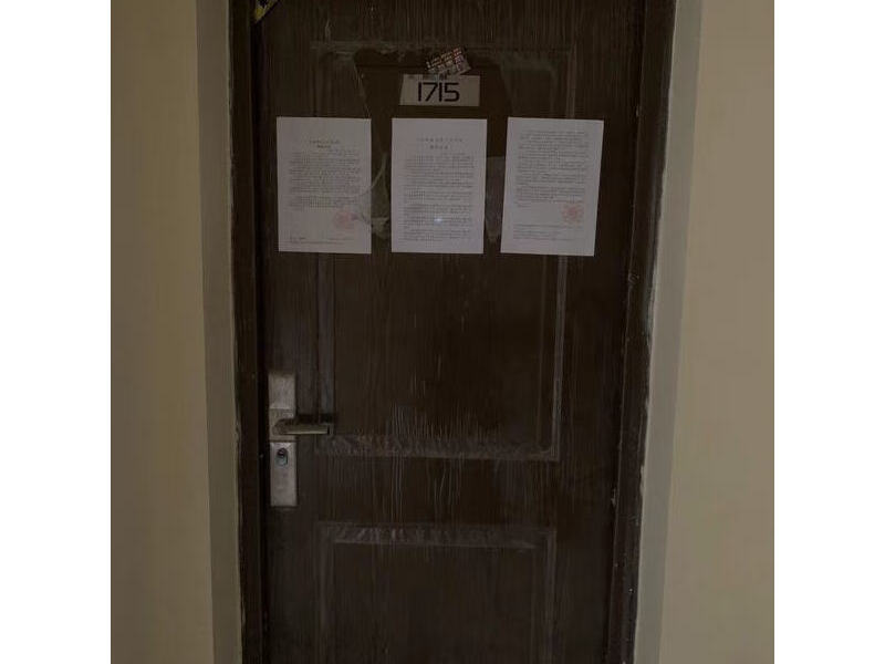 惠东县稔山镇大埔屯富茂海滨城熙景湾A6栋17层15号房法拍房图片3