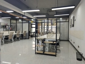 顺天大华天都 4室2厅 150㎡ 整租_郴州北湖区骆仙租房图片