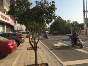 衡东县城关镇创大东路（恒盛花园2期A8#）101室_衡阳法拍房图片