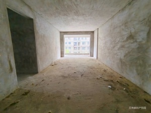 鸿升世纪东方城 3室2厅 117.6㎡ 毛坯惠州惠城区水口二手房图片