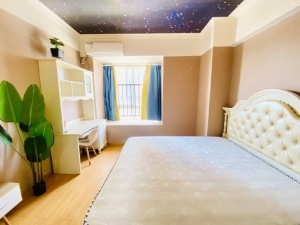 佳源酃湖都市 1室1厅 53㎡ 整租衡阳珠晖区酃湖万达广场租房图片