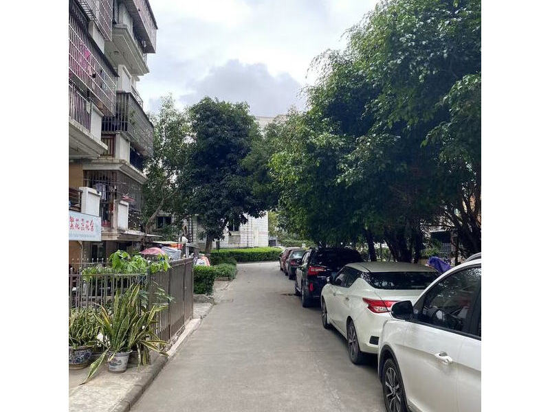 广东省中山市坦洲镇金山城27幢3门304房法拍房图片2
