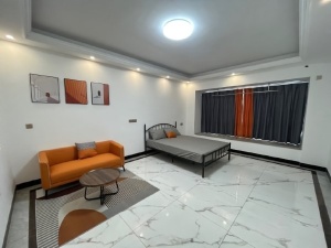 君隆中央公馆 1室1厅 43.1㎡ 整租清远清城区新城租房图片