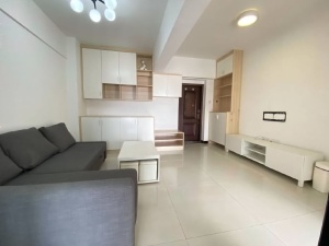 白金假日公寓 2室2厅 39㎡ 整租深圳宝安区西乡租房图片