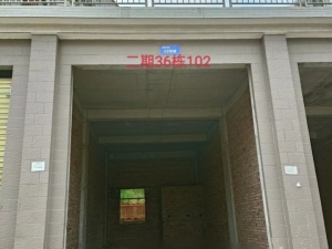 宜章县玉溪镇马耳冲小区二期36栋102号商业门面_郴州法拍房图片