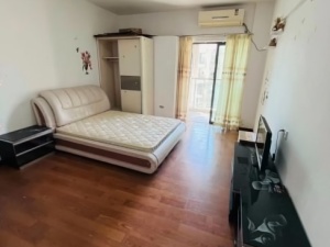 银领时代园 1室0厅 43.2㎡ 精装中山东区街道沙岗墟二手房图片