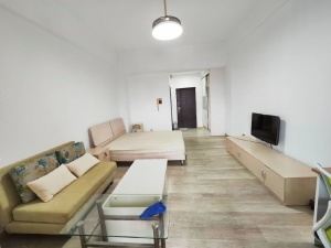 蓝钻星座国际公寓 1室1厅 48㎡ 整租_中山东区街道库充租房图片