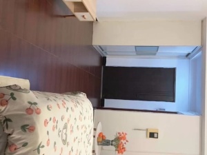 蓝钻星座国际公寓 1室0厅 48㎡ 整租_中山东区街道库充租房图片