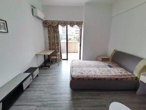 蓝钻星座国际公寓 1室1厅 38㎡ 整租_中山东区街道库充租房图片