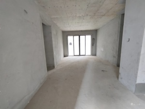 壹城中心一五期 4室2厅 113.67㎡ 毛坯_惠州仲恺仲恺二手房图片