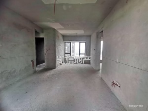 龙光玖龙府 4室2厅 119.29㎡ 毛坯_中山小榄镇小榄镇二手房图片