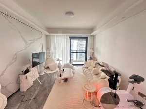 仁恒公园世纪二期 4室2厅 138㎡ 整租深圳龙岗区大运新城租房图片