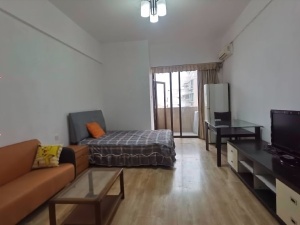 蓝钻星座国际公寓 1室1厅 50㎡ 整租_中山东区街道库充租房图片