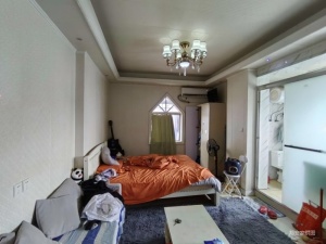 名嘉花园 1室0厅 27㎡ 精装_中山火炬开发区张家边二手房图片