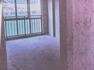 衡阳市蒸湘区船山西路49号金钟大雁城（阳光里程）7号楼706室_衡阳法拍房图片