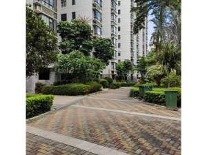 中山市坦洲镇南坦路260号温馨家园2区1幢301房_中山法拍房图片