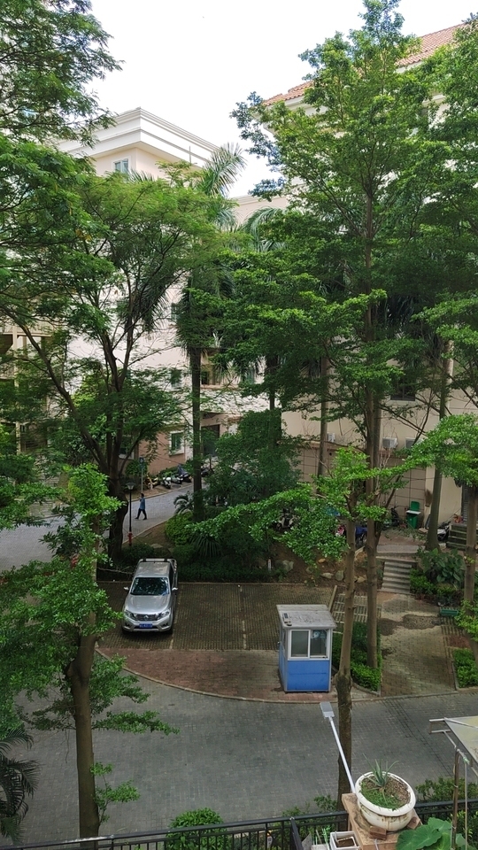 中山市西区翠虹路3号翠景豪苑1幢302房法拍房图片2