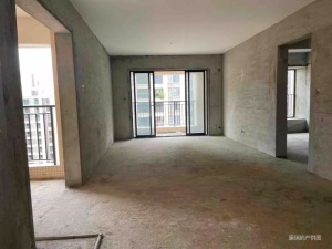 保利国际广场三期 3室2厅 119.57㎡ 毛坯_中山港口镇华师附中二手房图片