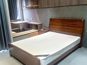 完美金鹰广场 1室1厅 55㎡ 整租中山石岐街道市人大租房图片