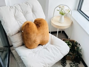 佳源酃湖都市 1室1厅 45㎡ 整租衡阳珠晖区酃湖万达广场租房图片