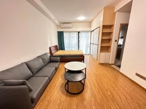 奥园壹中心 1室1厅 45㎡ 整租_惠州惠城区河南岸租房图片