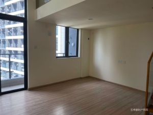 碧桂园柏坦尼雅 2室2厅 41.4㎡ 精装_中山南区街道茶业城二手房图片