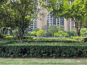 龙华区民治街道腾龙路与建设路交汇处祥瑞金茂府1栋B座4001深圳法拍房图片