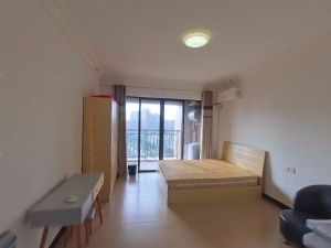 正和中州 1室1厅 41.1㎡ 整租中山石岐街道第一城小学租房图片