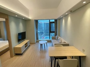 中泰峰境 1室1厅 51㎡ 整租衡阳蒸湘区万达广场租房图片