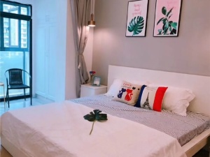 民俗文化广场 1室1厅 50㎡ 整租衡阳雁峰区岳屏公园租房图片