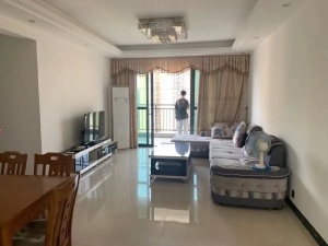 朝南维港半岛 3室2厅 125㎡ 整租清远清城区新城租房图片