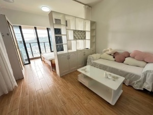 宝晟公馆 1室1厅 38.9㎡ 整租_惠州惠城区龙丰租房图片