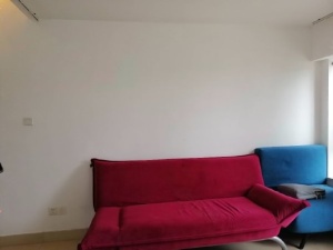 东尚新地 2室2厅 45㎡ 整租中山东区街道沙岗墟租房图片