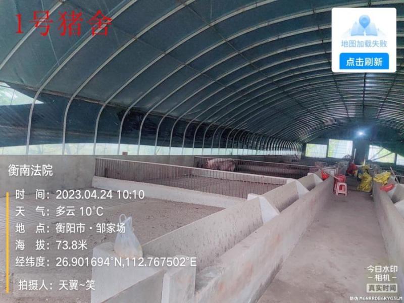衡南县泉溪镇大基村砖头组与衡南县泉溪村三园村知明组交界处的养猪场上的贰座猪舍及其配套饲料房法拍房图片5