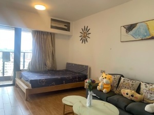 宝晟公馆 1室1厅 39㎡ 整租_惠州惠城区龙丰租房图片