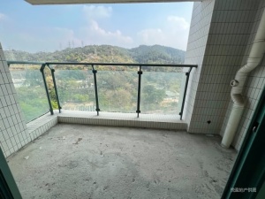 可乐2 3室2厅 90.13㎡ 毛坯_中山南区街道城南一路二手房图片