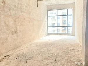 御府中央 2室2厅 50㎡ 毛坯_惠州惠东县惠东二手房图片