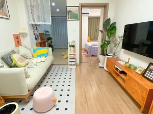 佳源酃湖都市 1室1厅 50㎡ 整租衡阳珠晖区酃湖万达广场租房图片