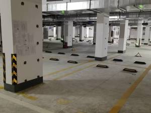 中山市坦洲镇沙坦南路61号香槟花园1-5栋\8-9栋地下车库027号小车位的房地产_中山法拍房图片