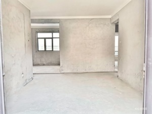 翠湖苑北区 3室2厅 99㎡ 毛坯珠海斗门区井岸镇二手房图片