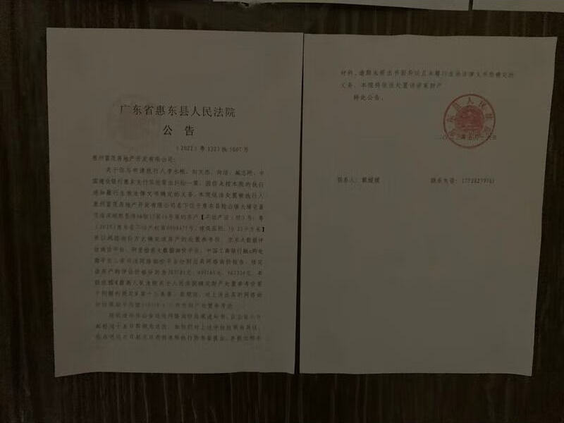 惠东县稔山镇大埔屯富茂海滨城熙景湾A6栋17层16号房法拍房图片5