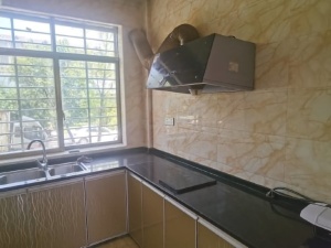 明大公园九里 3室2厅 100㎡ 整租郴州租房图片