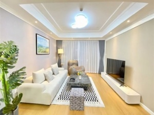 星美新外滩 1室1厅 52㎡ 整租衡阳蒸湘区区政府北租房图片