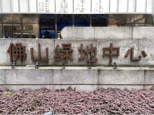 佛山市禅城区季华六路17号佛山绿地中心一座607室 建筑面积246.78㎡佛山法拍房图片