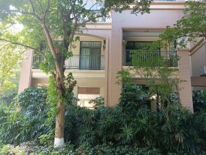 中山市石岐区兴盛路5号D区1幢204房_中山法拍房图片