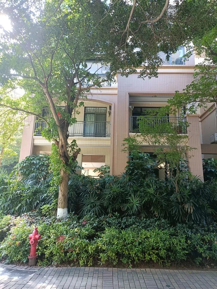 中山市石岐区兴盛路5号D区1幢204房法拍房图片1