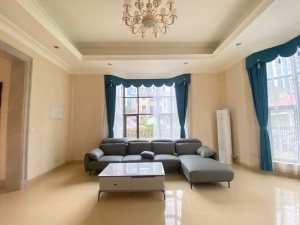 碧桂园假日半岛 5室2厅 290㎡ 整租清远清城区碧桂园假日半岛租房图片