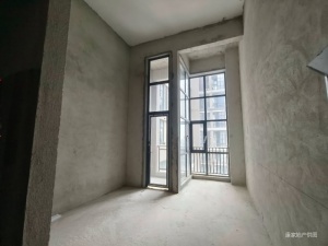 完美金鹰广场 1室1厅 41.59㎡ 毛坯中山石岐街道市人大二手房图片